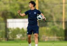 permanent Lions coach