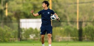 permanent Lions coach