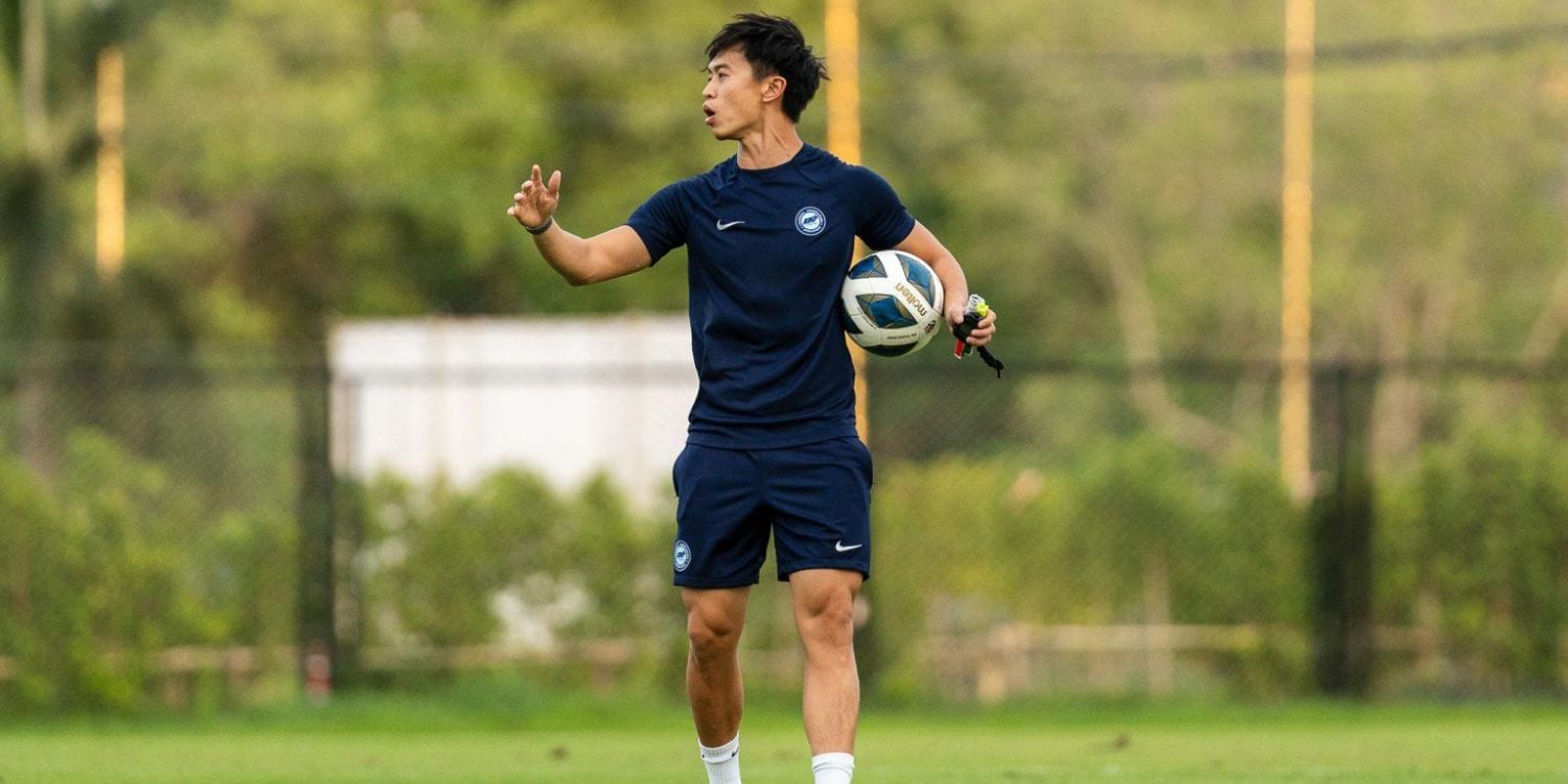 permanent Lions coach