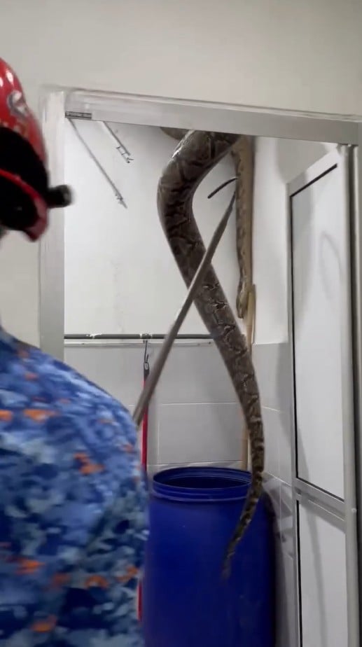 python bathroom ceiling