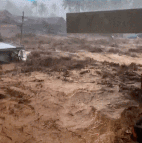 rescuer loses family members typhoon (1)