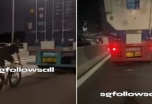 tailgating lorry