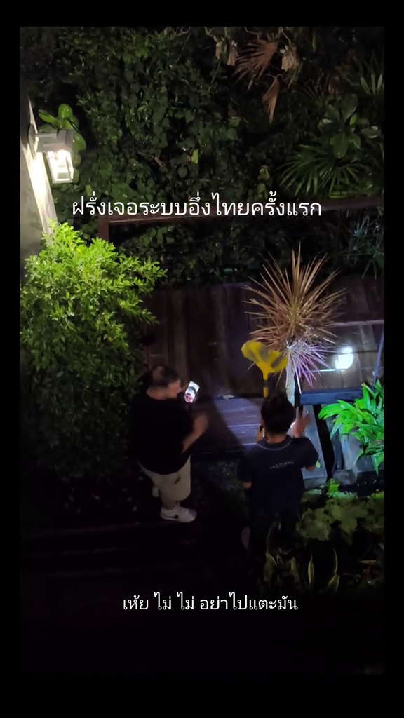 tourist bullfrogs hotel search