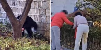 tourists defecating palace walls