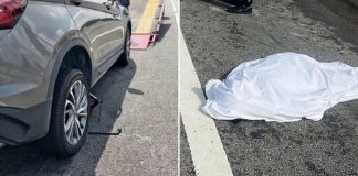 woman hit lorry changing tyre