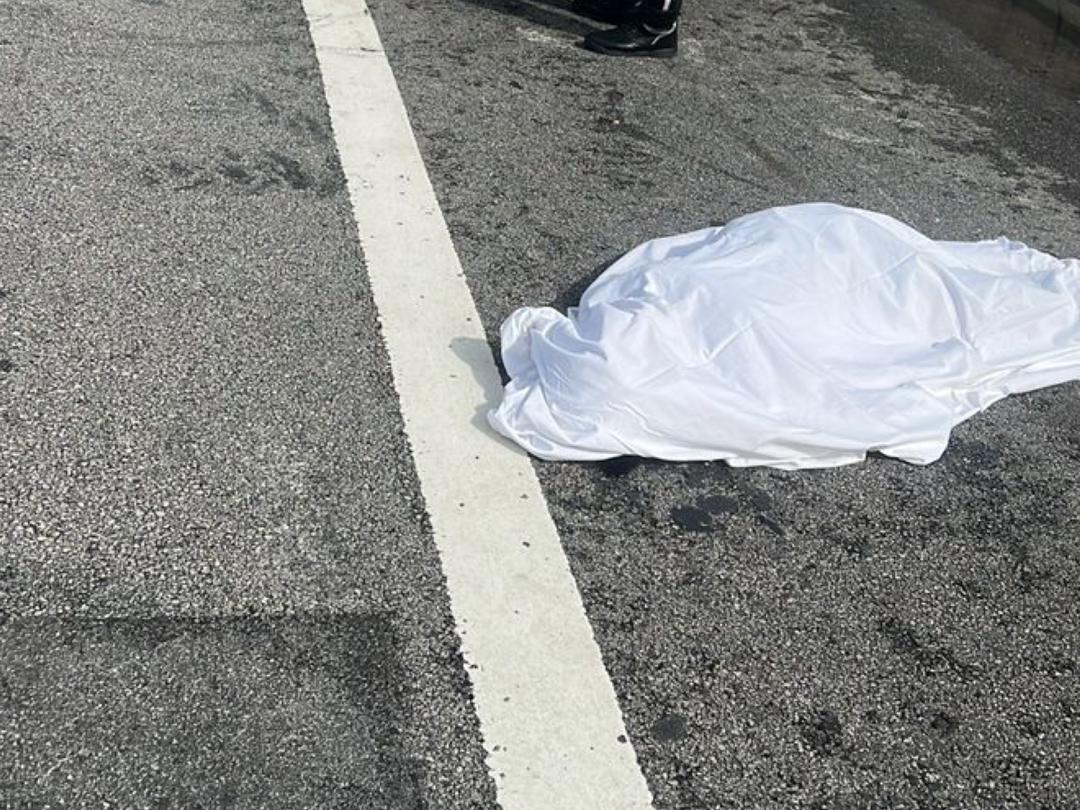 woman hit lorry changing tyre