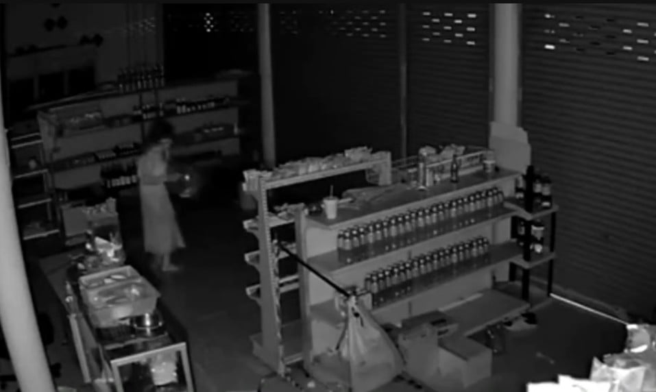 woman lids shop elephant lids