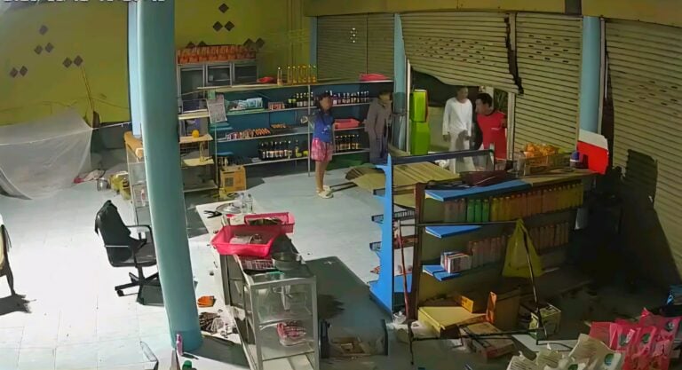 woman lids shop elephant aftermath