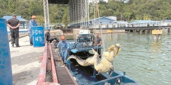 500g crocodile Lubukan Island
