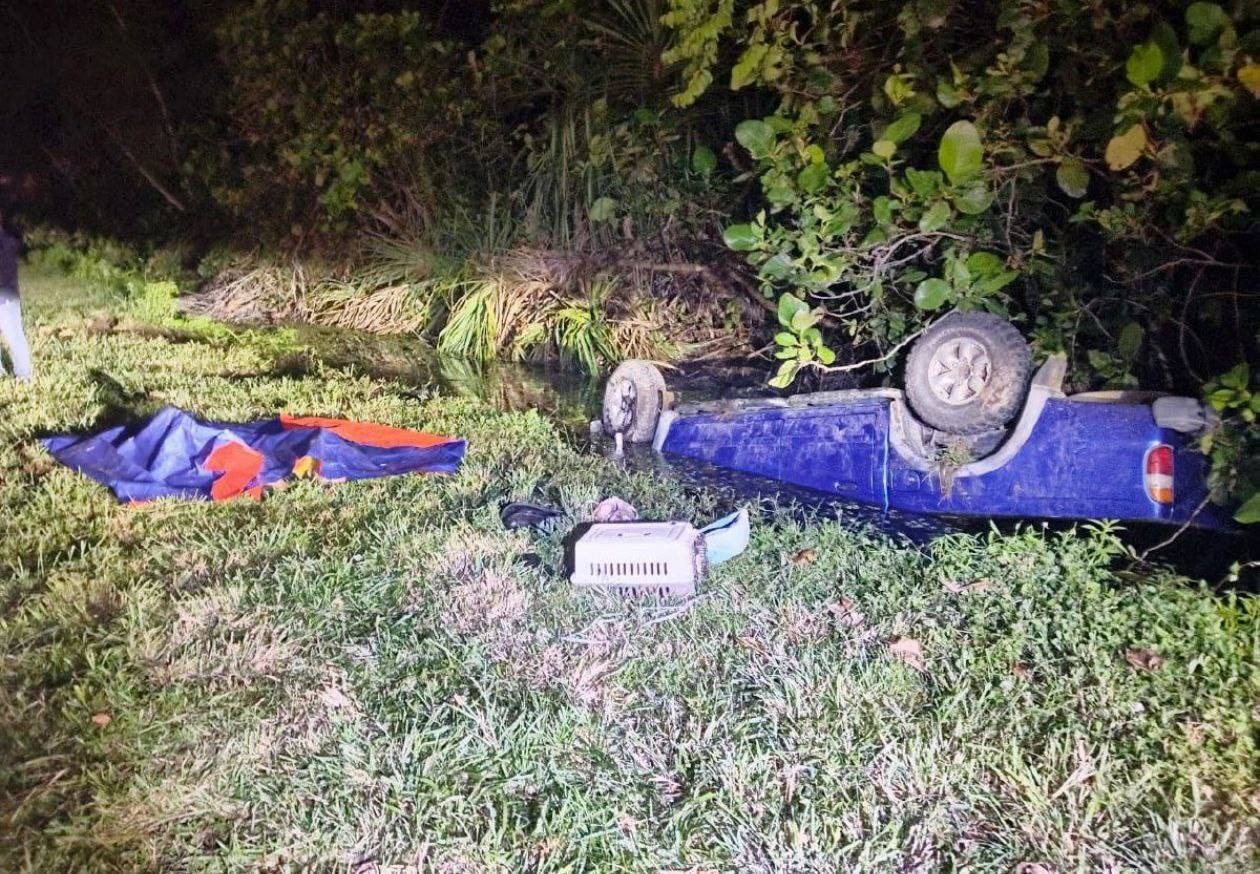 couple car plunged ditch