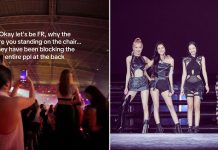 Blackpink concert goer