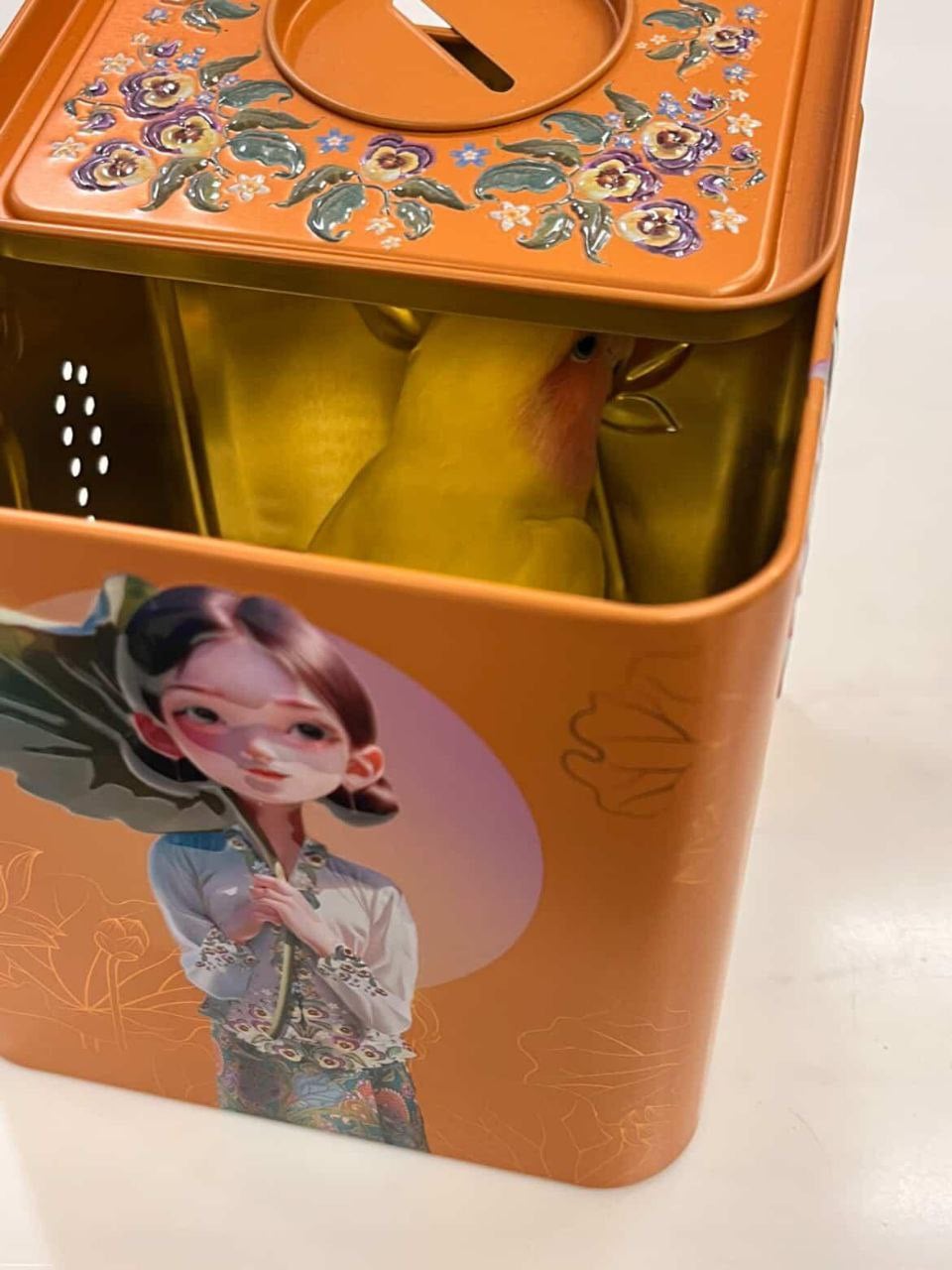 lost bird marine parade