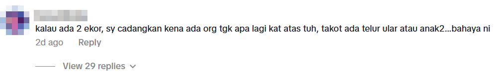 pythons ceiling motorbike shop