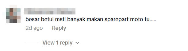 pythons ceiling motorbike shop