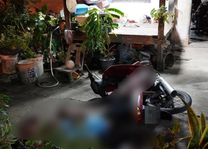 garbage truck driver neighbour