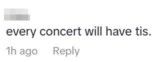 Blackpink concert goer