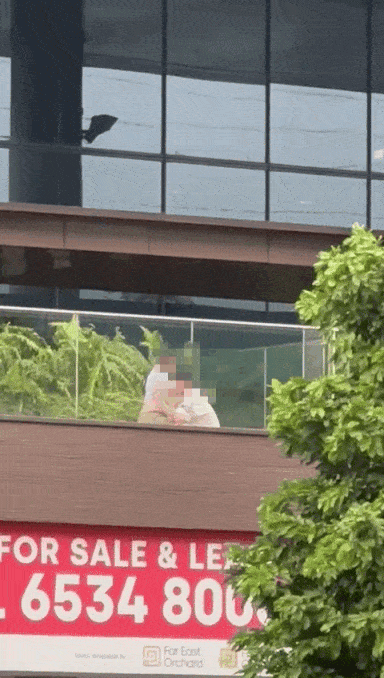 woodlands intimate behaviour