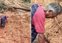 father landslide missing daughter