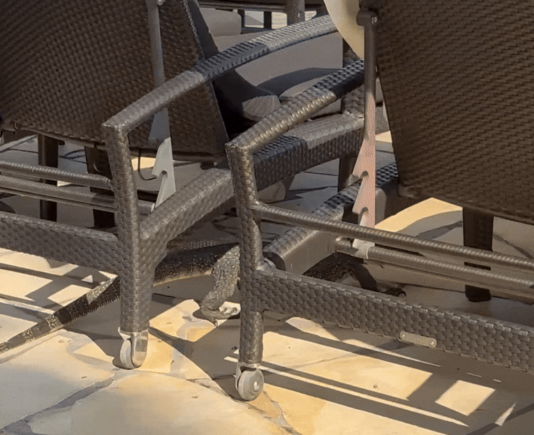 monitor lizard fries