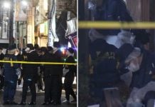 infant's severed head japan