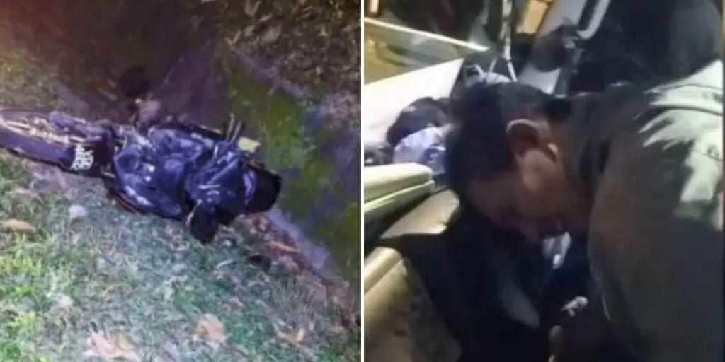 motorcyclist crashes into elephant