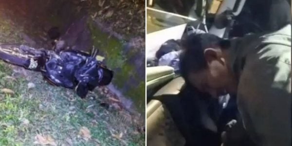 motorcyclist crashes into elephant