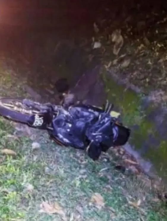 motorcyclist crashes into elephant