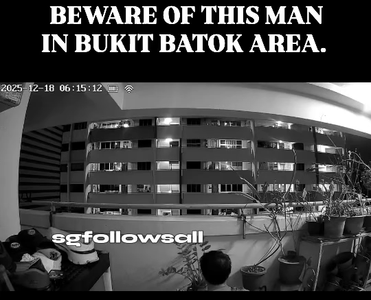 potted plant bukit batok