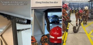 pythons ceiling motorbike shop