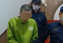 teenager stabbing mother phone