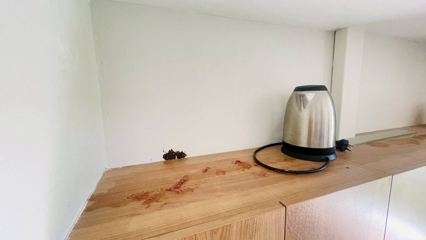 tourists property damage room splatter