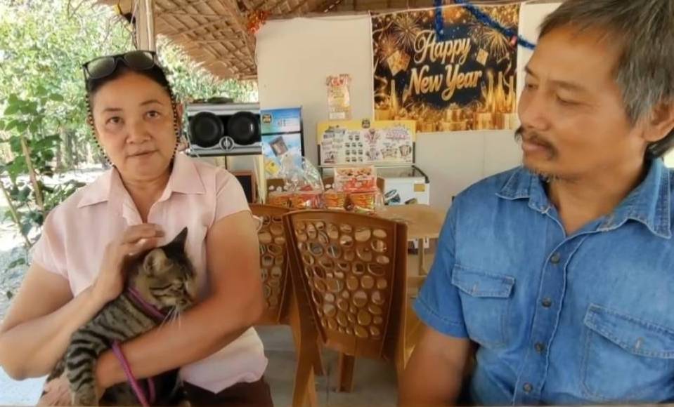 pregnant woman python cat