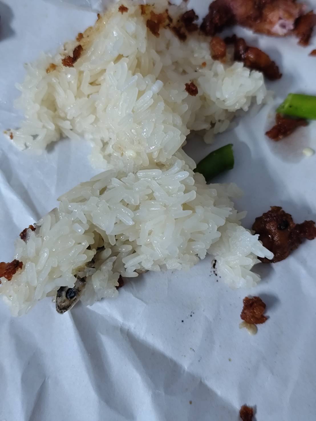 dead gecko sticky rice