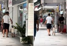 father and child in tote bag