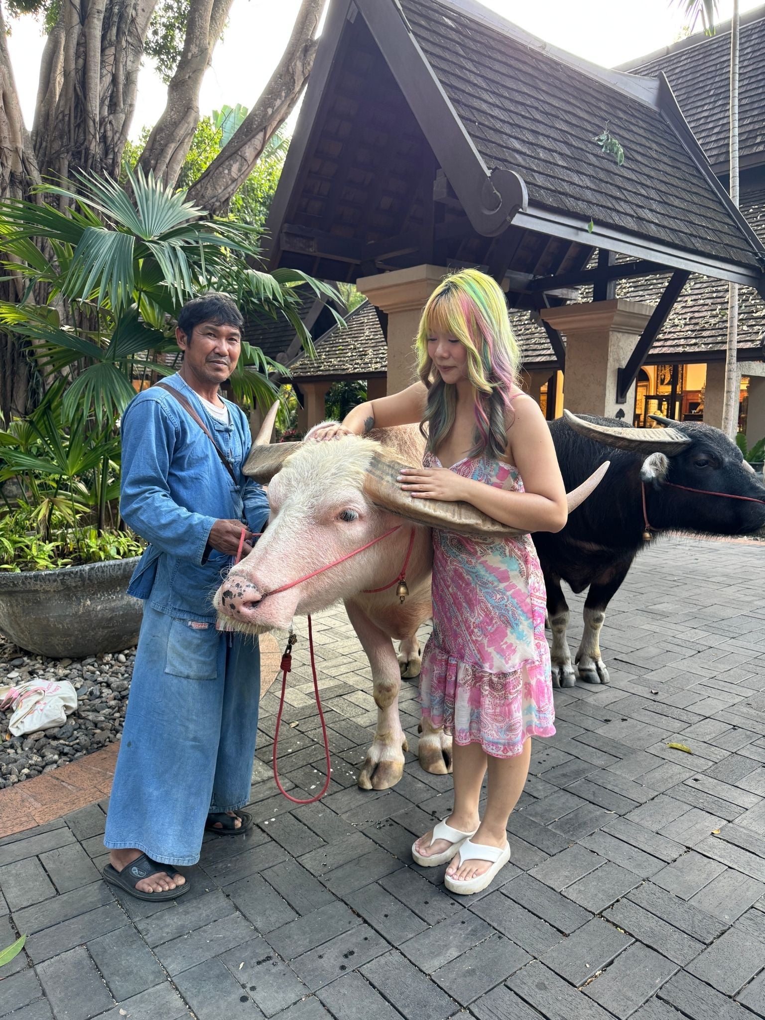 Gen Z Singaporeans Thailand (11)