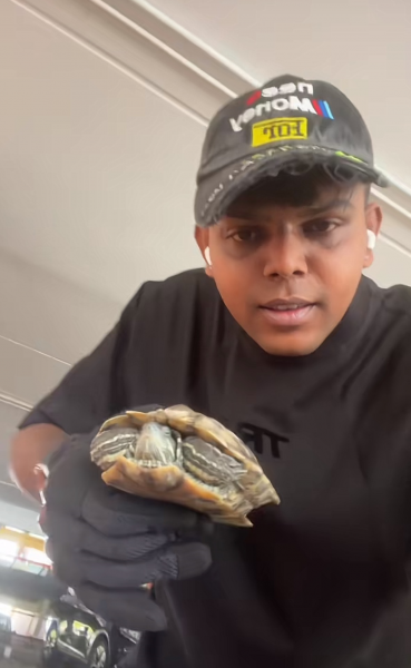 man holding terrapin