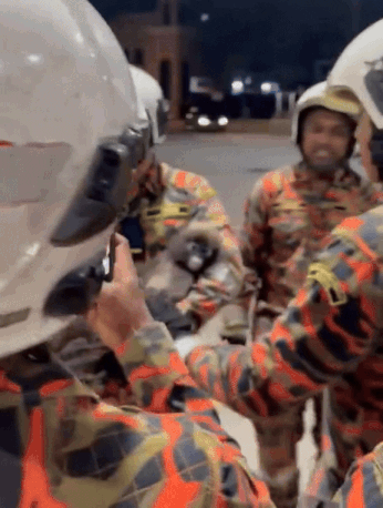 Monkey gas station penang (1)