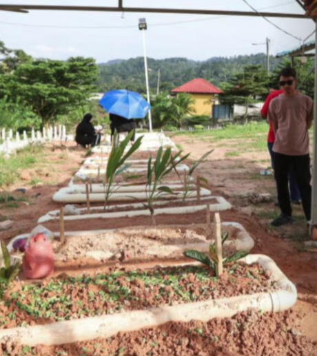 man stung wasps wedding