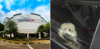 left: compass one mall right: dog in car
