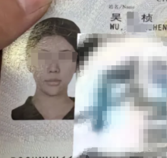 chinese influencer begging cambodia