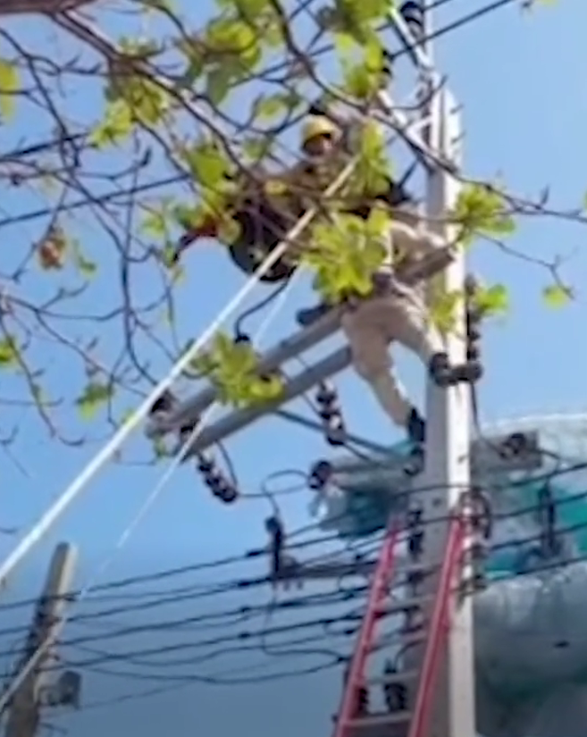 paraglider pole thailand