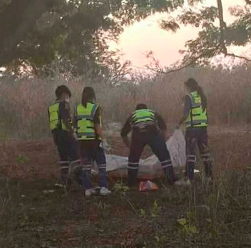 myanmar tiktok dead forest
