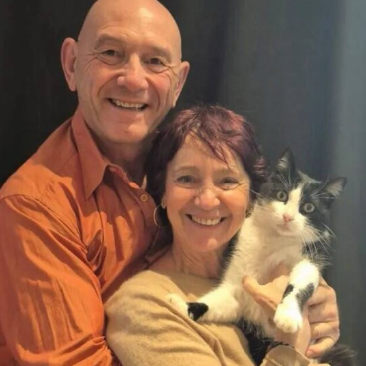 missing cat spain france