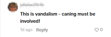 vandalism tiktok comment
