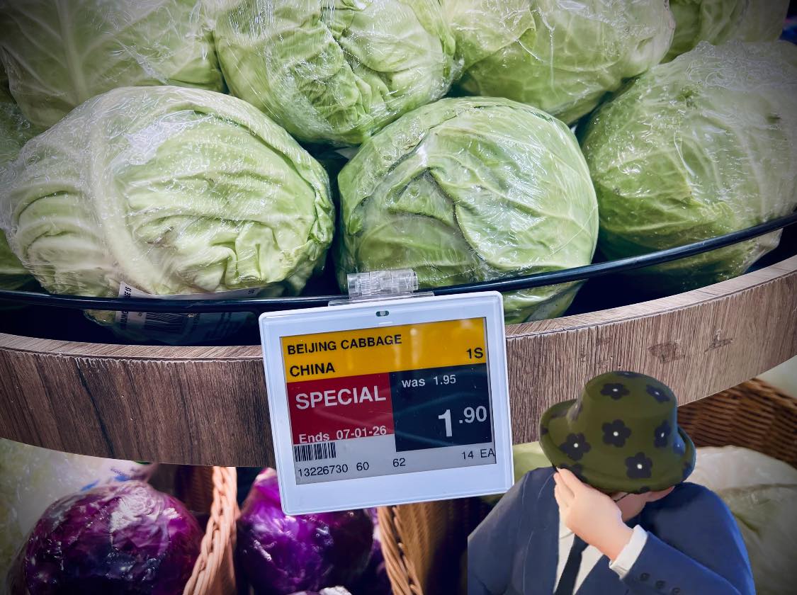 cabbage discount