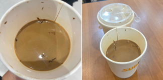 cockroach legs coffee subway