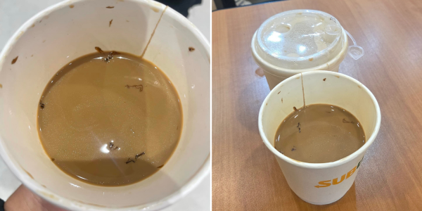 cockroach legs coffee subway