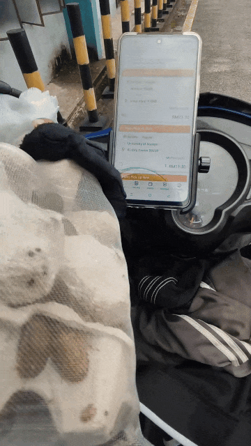 cockroaches delivery