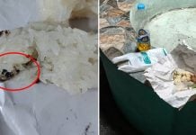 dead gecko sticky rice