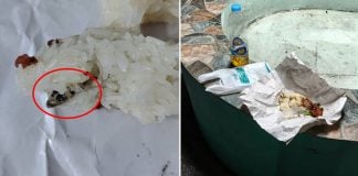 dead gecko sticky rice